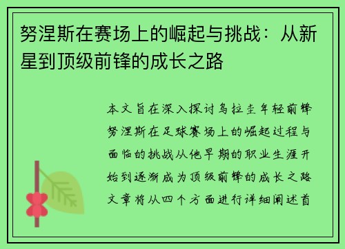 努涅斯在赛场上的崛起与挑战：从新星到顶级前锋的成长之路